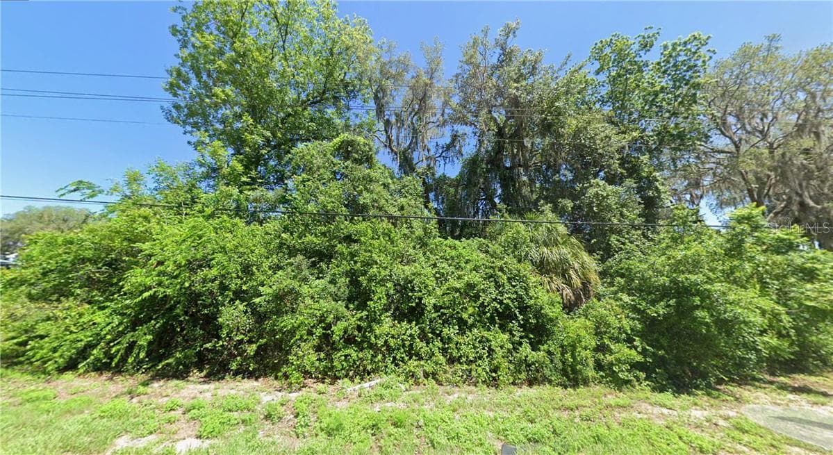 Land at 8731 E Gospel Island Road, Inverness FL 34450, Inverness, photo 8 of 9