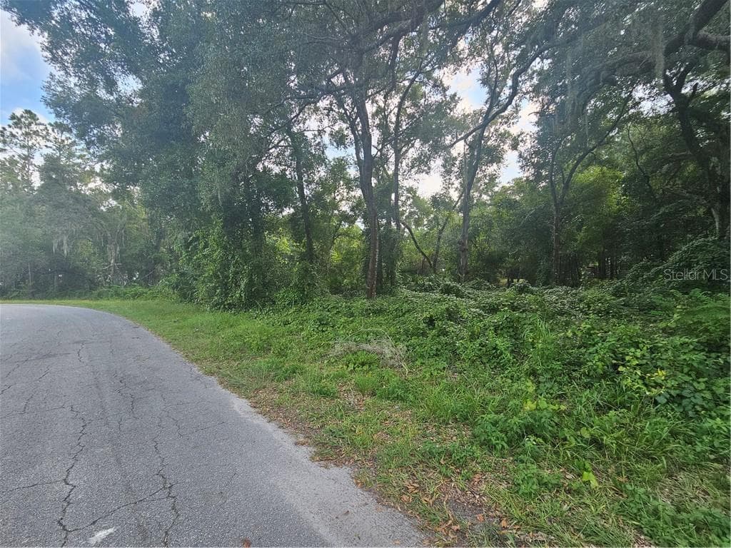 Land at 4059 E Gloria Drive, Hernando FL 34442, Hernando, photo 3 of 25