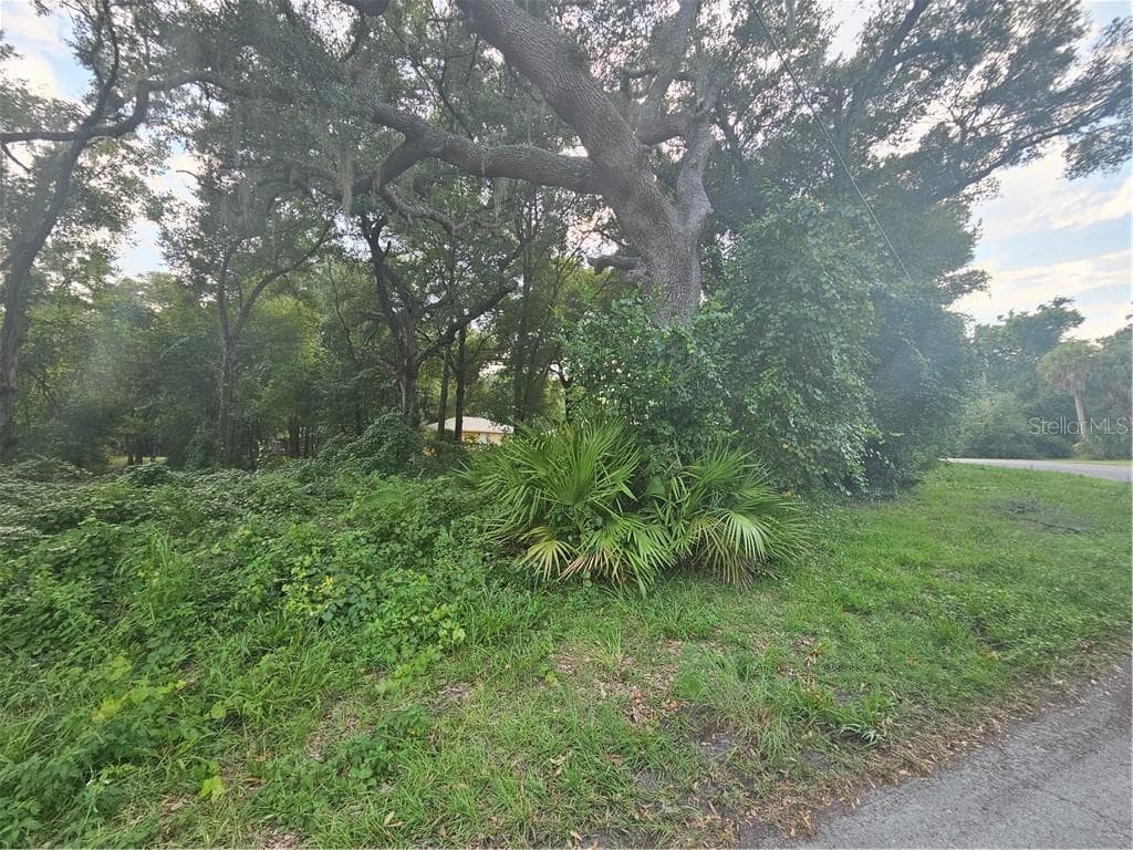 Land at 4059 E Gloria Drive, Hernando FL 34442, Hernando, photo 4 of 25