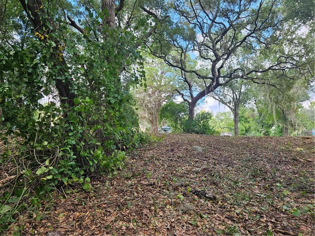 Land at 4059 E Gloria Drive, Hernando FL 34442, Hernando, photo 7 of 25