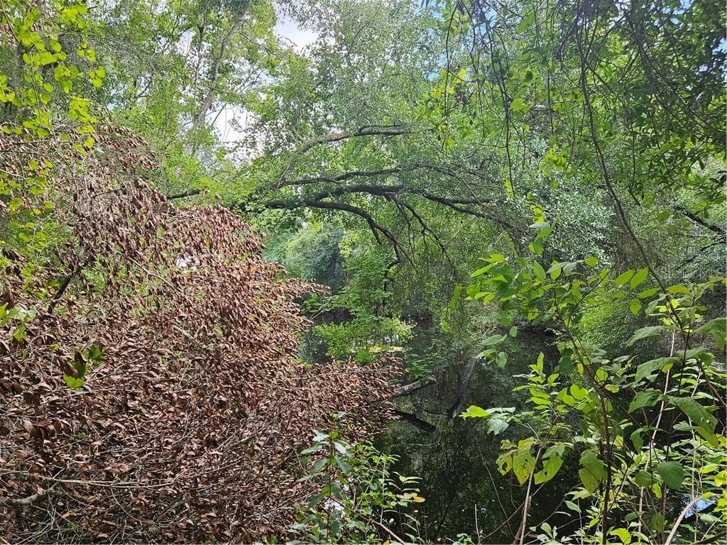 Land at 4059 E Gloria Drive, Hernando FL 34442, Hernando, photo 9 of 25