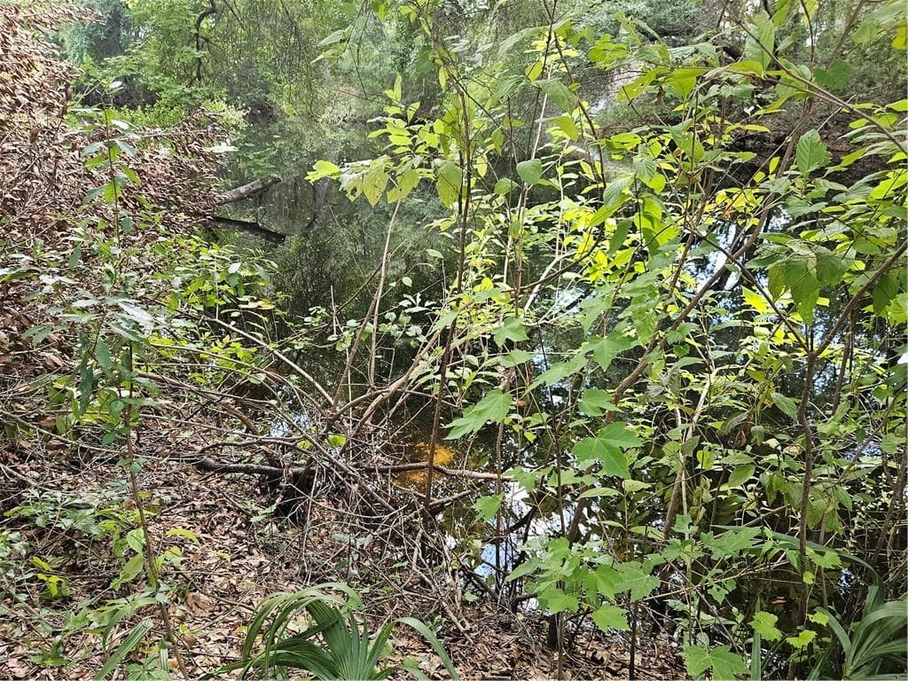 Land at 4059 E Gloria Drive, Hernando FL 34442, Hernando, photo 10 of 25