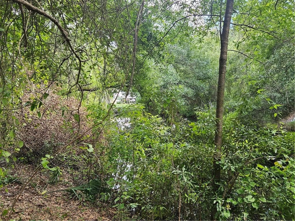 Land at 4059 E Gloria Drive, Hernando FL 34442, Hernando, photo 12 of 25