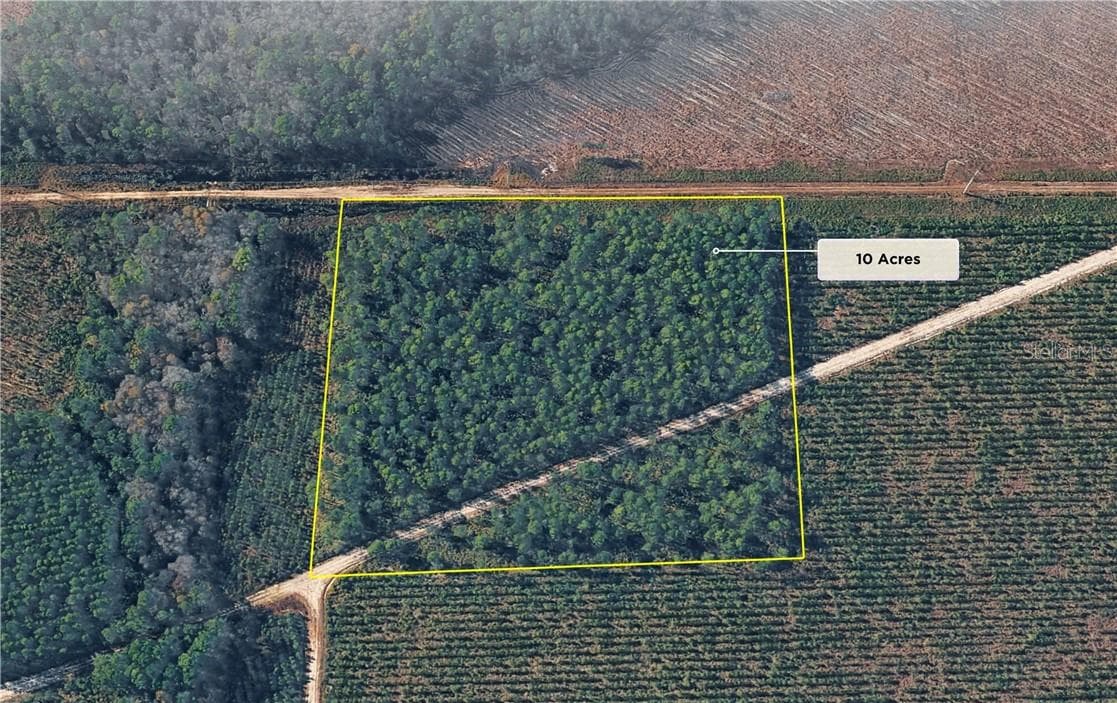 Land at 0 HIGHWAY 17S, GREENCOVESPRINGS FL 32043, Green Cove Springs, photo 2 of 33