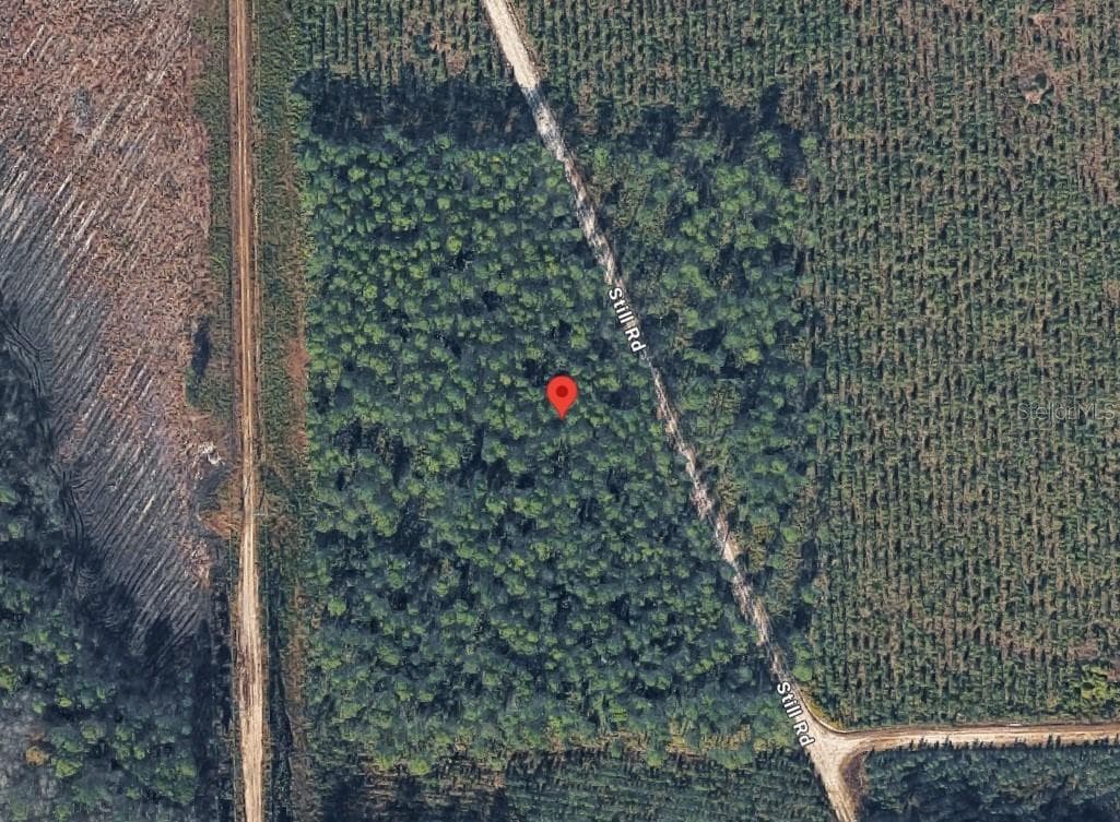 Land at 0 HIGHWAY 17S, GREENCOVESPRINGS FL 32043, Green Cove Springs, photo 6 of 33