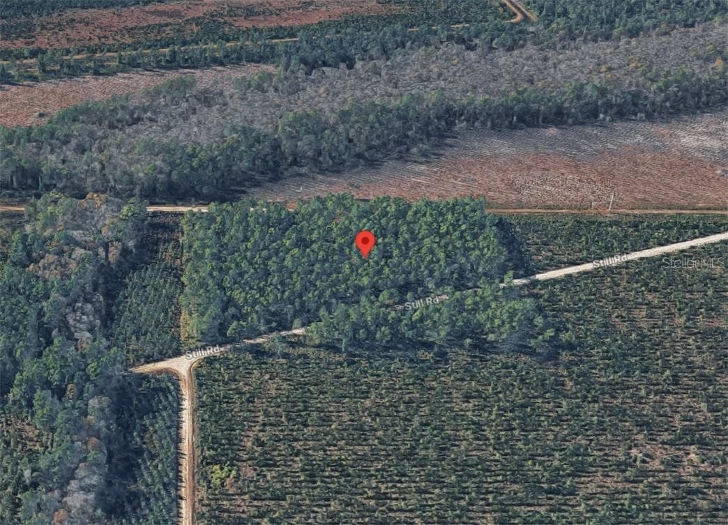 Land at 0 HIGHWAY 17S, GREENCOVESPRINGS FL 32043, Green Cove Springs, photo 12 of 33