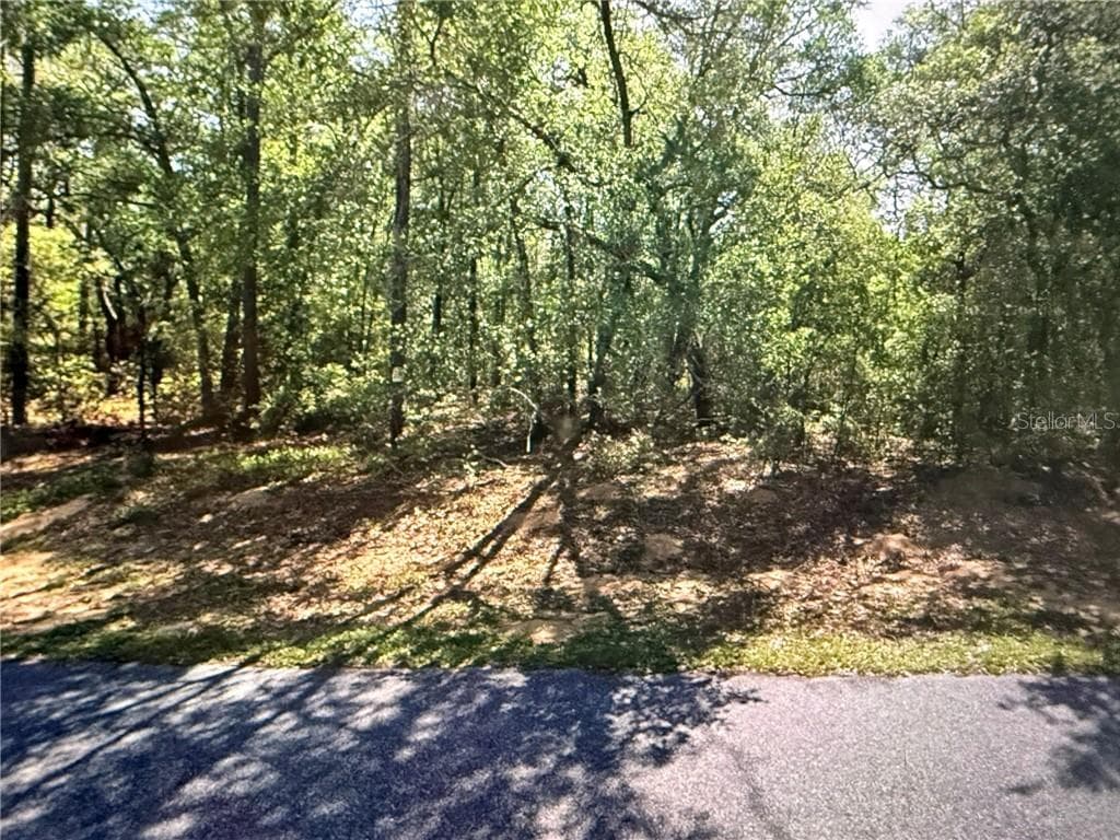 Land at 8265 N Yellowbird AVE, DUNNELLON FL 34434, Dunnellon, photo 2 of 7