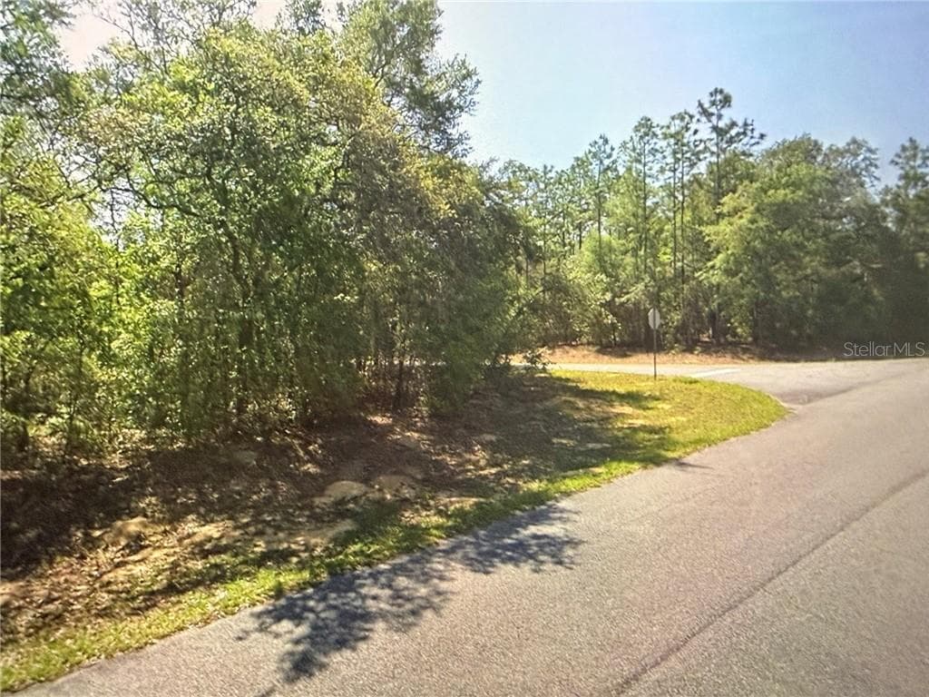 Land at 8265 N Yellowbird AVE, DUNNELLON FL 34434, Dunnellon, photo 4 of 7