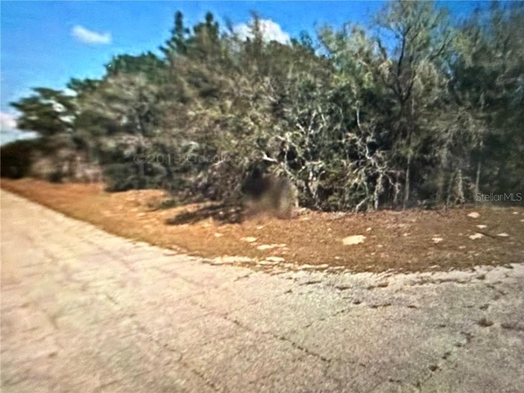 Land at 8265 N Yellowbird AVE, DUNNELLON FL 34434, Dunnellon, photo 5 of 7