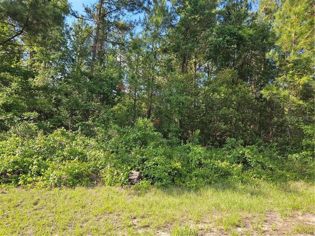 Land at 622 E Abady Lane, Citrus Springs FL 34434, Citrus Springs, photo 2 of 9