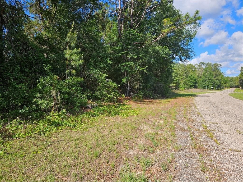 Land at 622 E Abady Lane, Citrus Springs FL 34434, Citrus Springs, photo 3 of 9