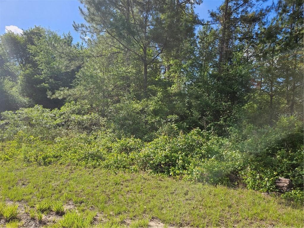 Land at 622 E Abady Lane, Citrus Springs FL 34434, Citrus Springs, photo 4 of 9