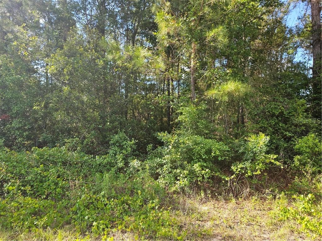 Land at 622 E Abady Lane, Citrus Springs FL 34434, Citrus Springs, photo 5 of 9