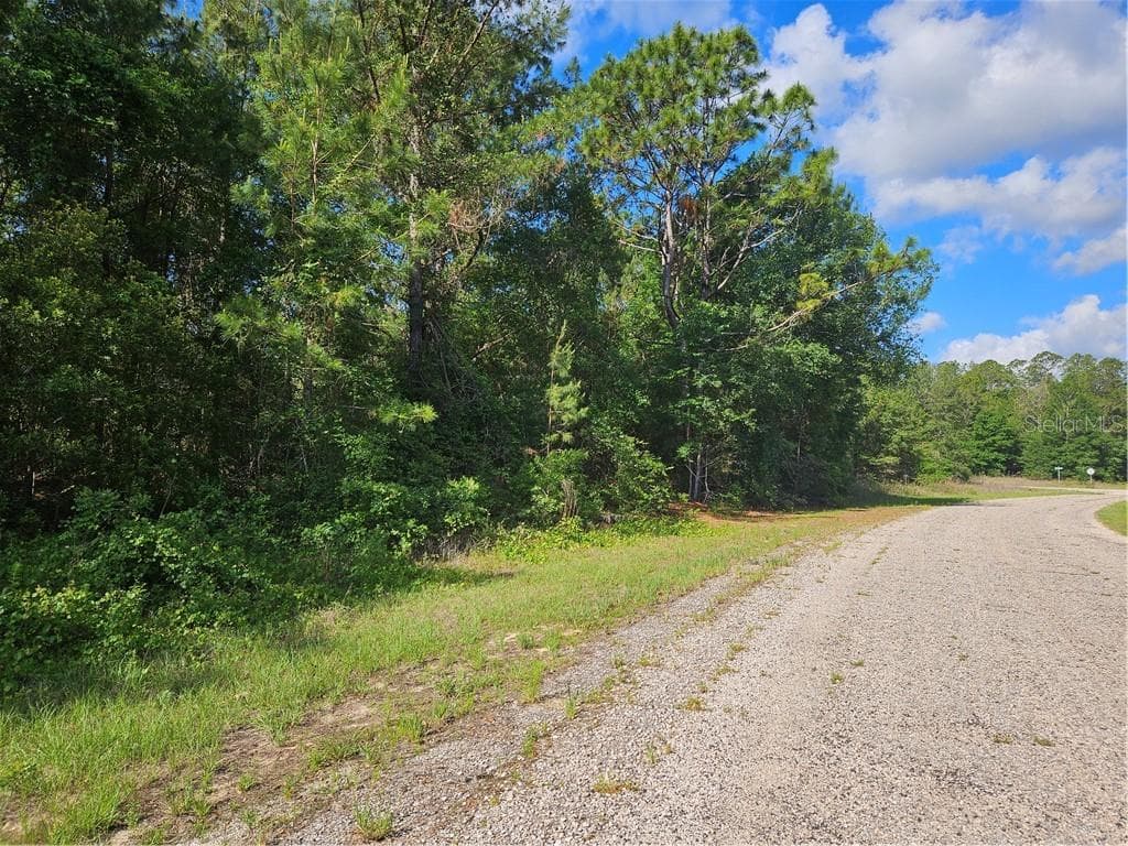 Land at 622 E Abady Lane, Citrus Springs FL 34434, Citrus Springs, photo 8 of 9