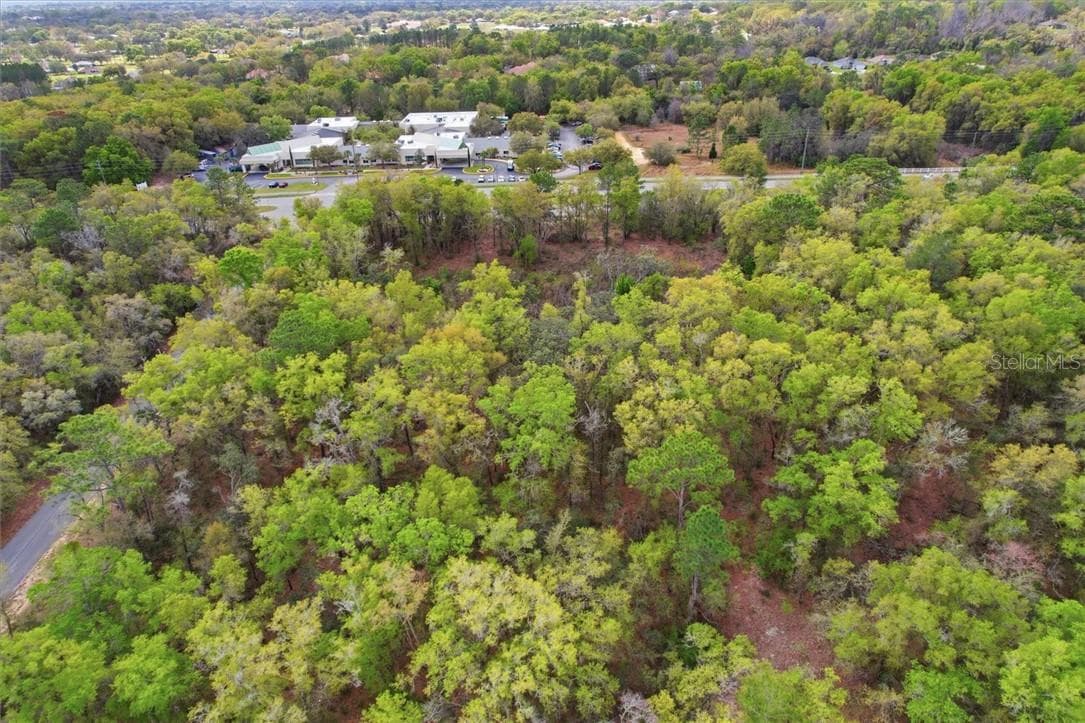 Land at 161 W Norvell Bryant HWY, HERNANDO FL 34442, Hernando, photo 2 of 13