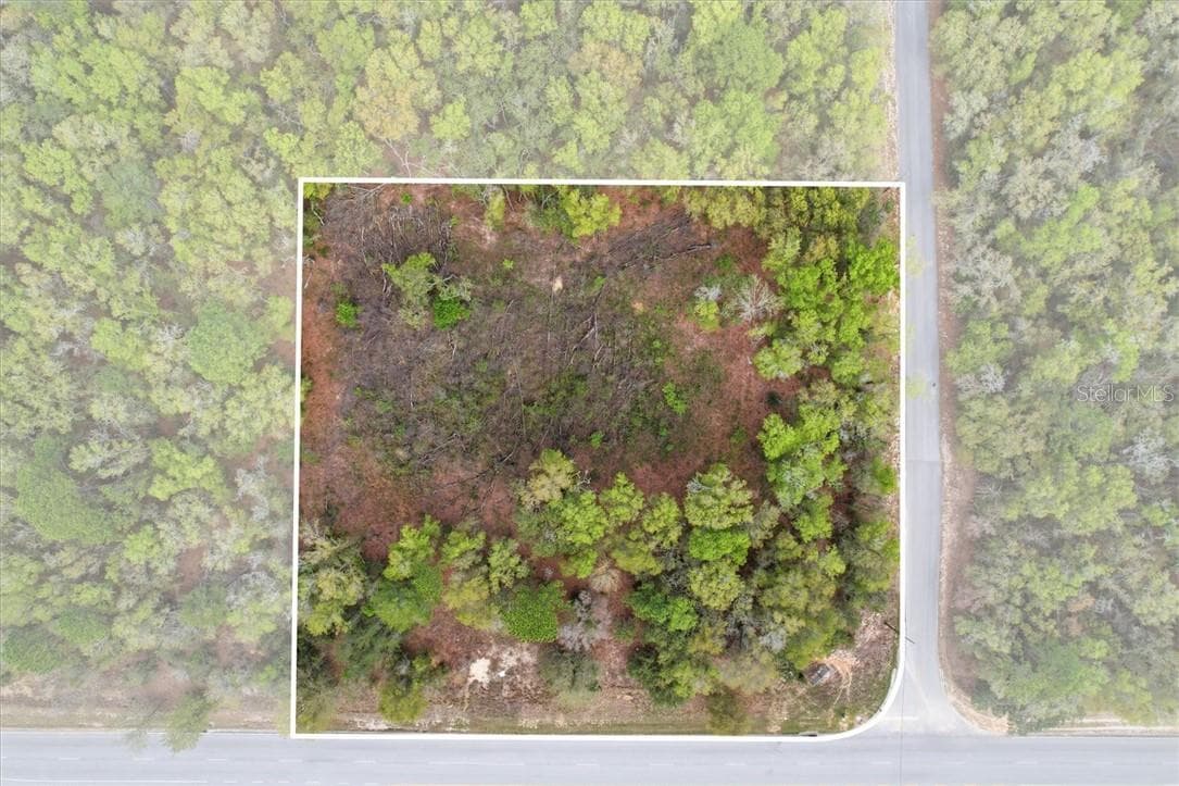 Land at 161 W Norvell Bryant HWY, HERNANDO FL 34442, Hernando, photo 4 of 13