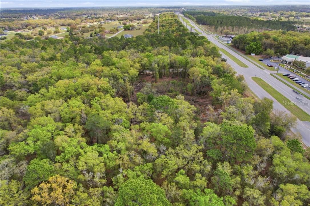 Land at 161 W Norvell Bryant HWY, HERNANDO FL 34442, Hernando, photo 6 of 13