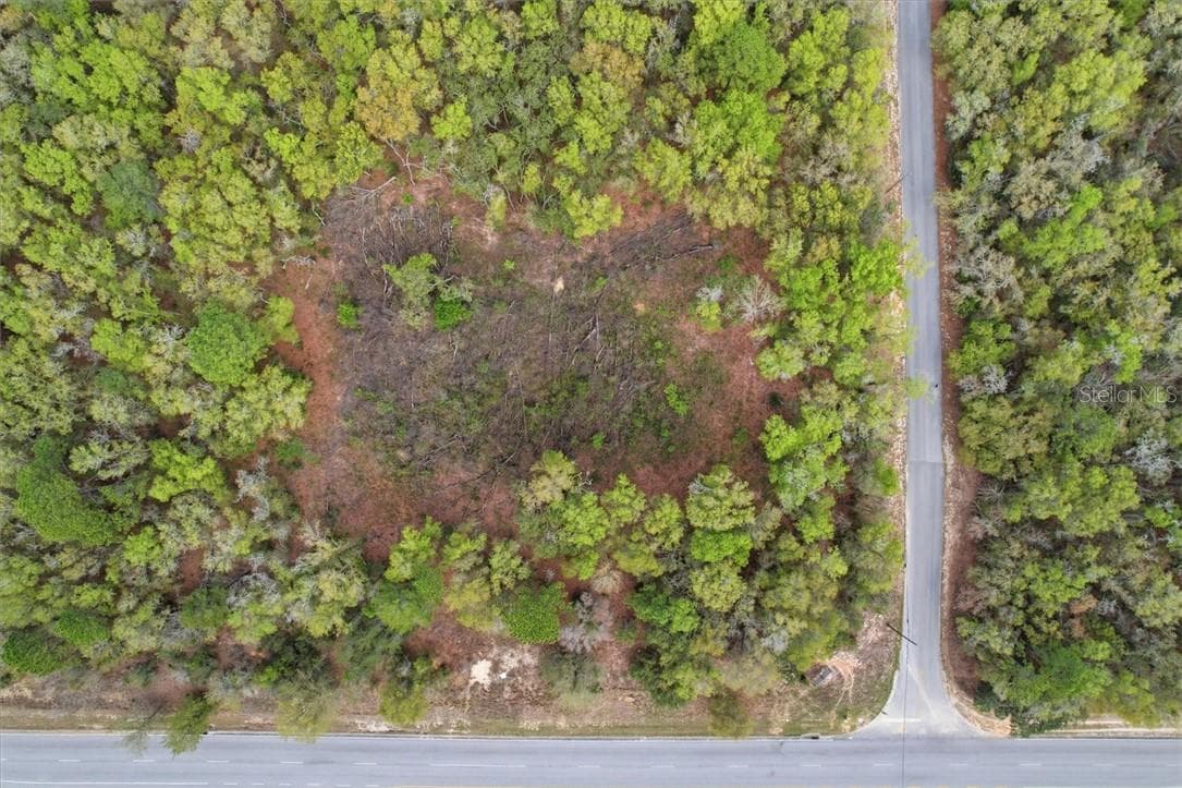 Land at 161 W Norvell Bryant HWY, HERNANDO FL 34442, Hernando, photo 7 of 13
