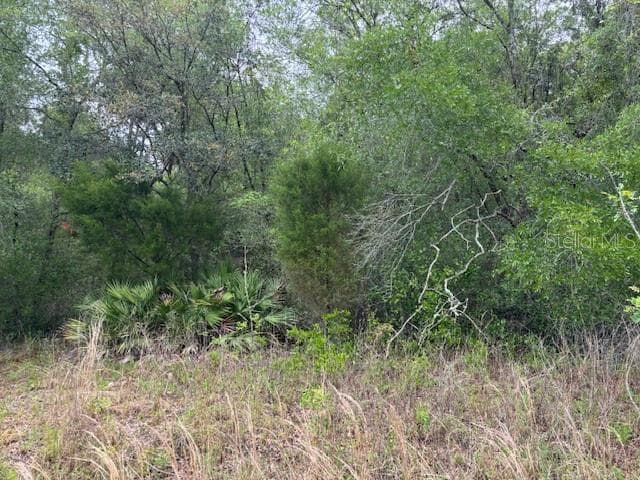 Land at 93 N Croft Avenue, Inverness FL 34453, Inverness
