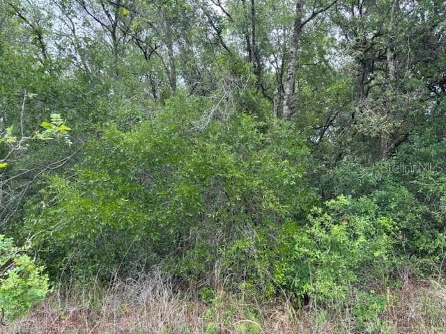 Land at 93 N Croft Avenue, Inverness FL 34453, Inverness, photo 2 of 8