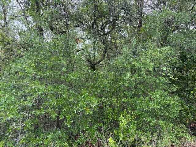 Land at 93 N Croft Avenue, Inverness FL 34453, Inverness, photo 3 of 8