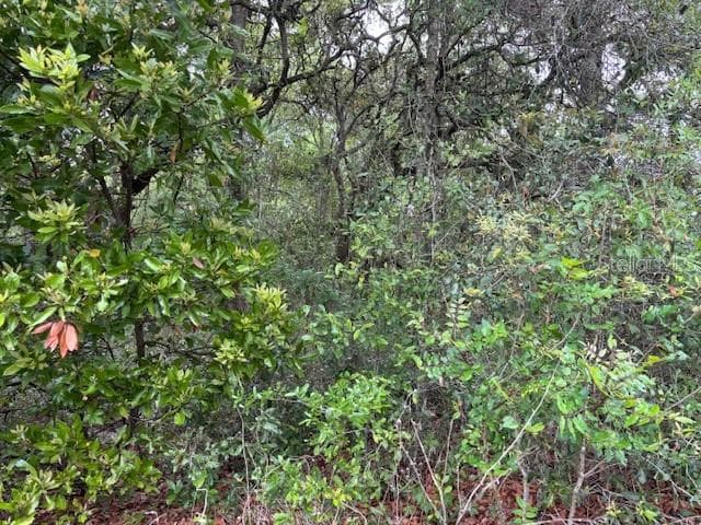 Land at 93 N Croft Avenue, Inverness FL 34453, Inverness, photo 4 of 8