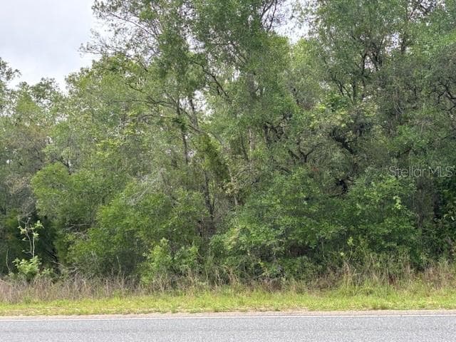 Land at 93 N Croft Avenue, Inverness FL 34453, Inverness, photo 5 of 8