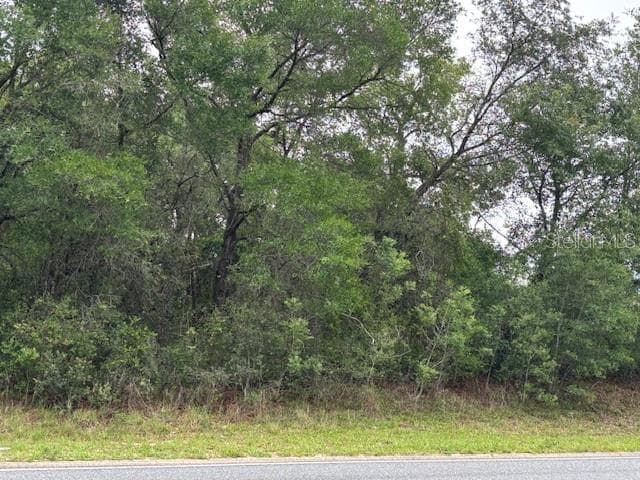 Land at 93 N Croft Avenue, Inverness FL 34453, Inverness, photo 6 of 8