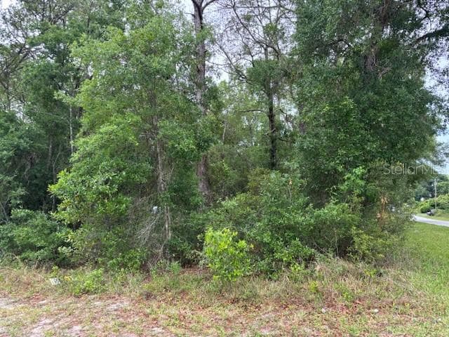 Land at 359 N Fitzpatrick Avenue, Inverness FL 34453, Inverness