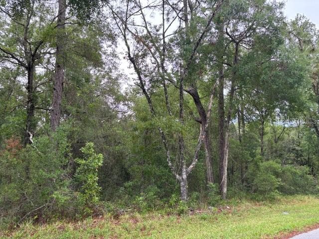 Land at 359 N Fitzpatrick Avenue, Inverness FL 34453, Inverness, photo 2 of 7