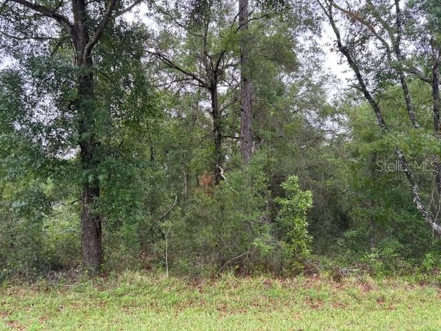 Land at 359 N Fitzpatrick Avenue, Inverness FL 34453, Inverness, photo 3 of 7