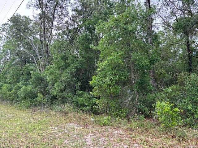 Land at 359 N Fitzpatrick Avenue, Inverness FL 34453, Inverness, photo 4 of 7