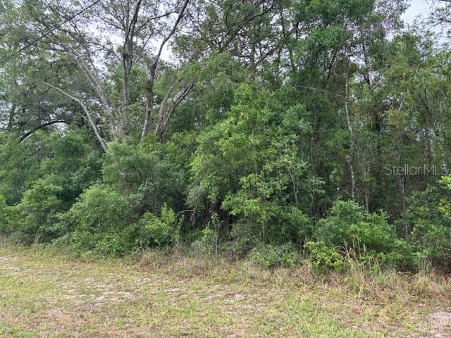 Land at 359 N Fitzpatrick Avenue, Inverness FL 34453, Inverness, photo 5 of 7
