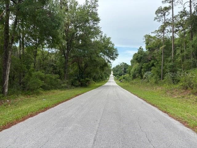 Land at 359 N Fitzpatrick Avenue, Inverness FL 34453, Inverness, photo 7 of 7
