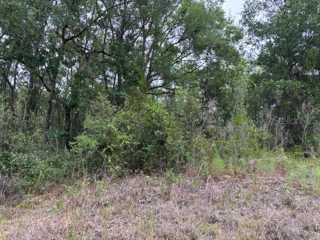 Land at 6717 E Gentry Street, Inverness FL 34452, Inverness