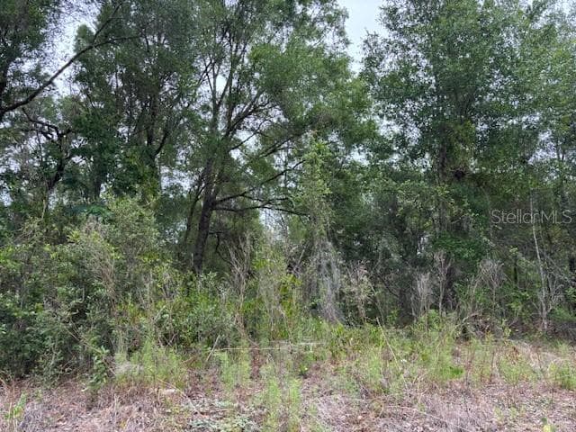Land at 6717 E Gentry Street, Inverness FL 34452, Inverness, photo 2 of 8
