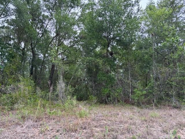 Land at 6717 E Gentry Street, Inverness FL 34452, Inverness, photo 3 of 8
