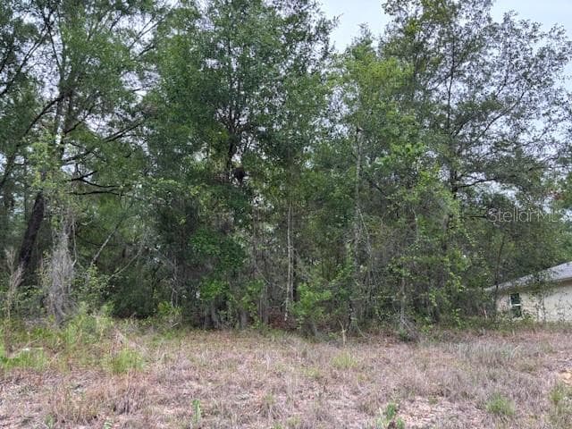 Land at 6717 E Gentry Street, Inverness FL 34452, Inverness, photo 4 of 8