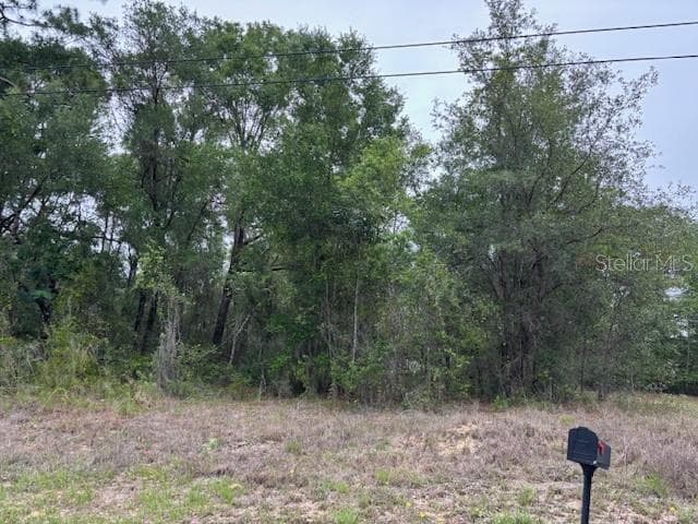 Land at 6717 E Gentry Street, Inverness FL 34452, Inverness, photo 6 of 8