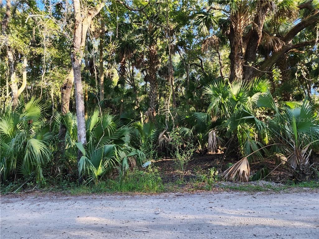 13334 E Shawnee TRL, INVERNESS FL 34450
