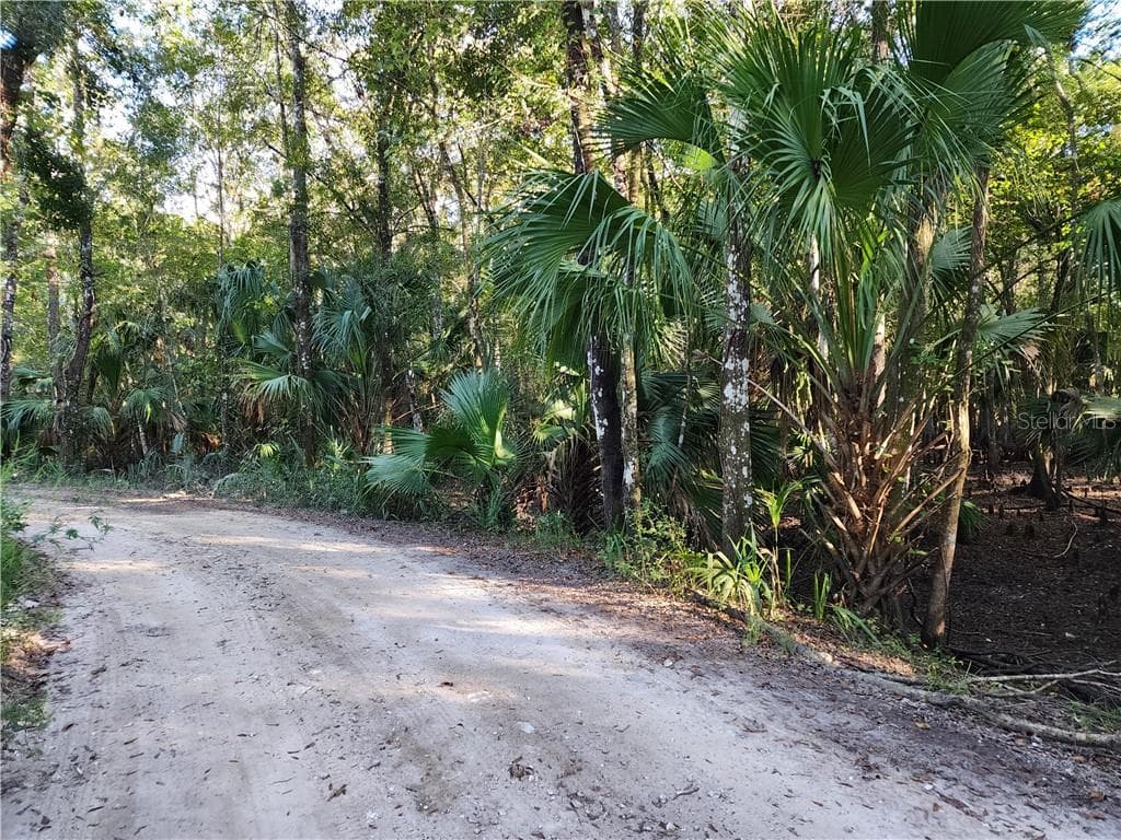 Land at 13334 E Shawnee TRL, INVERNESS FL 34450, photo 2 of 16