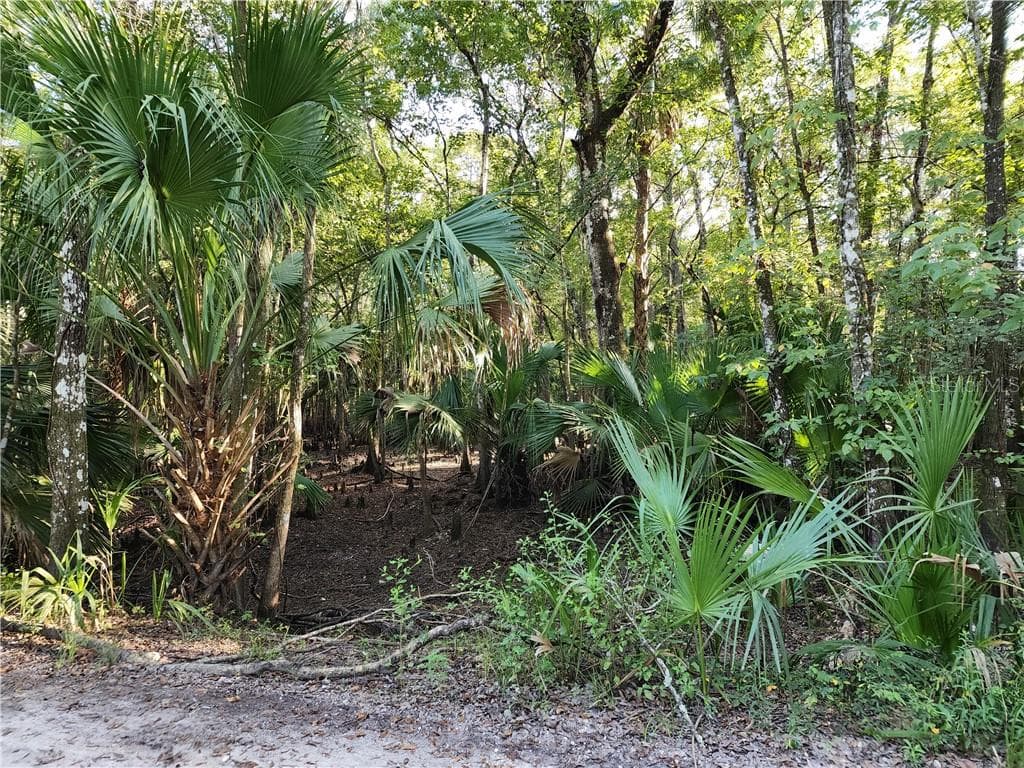 Land at 13334 E Shawnee TRL, INVERNESS FL 34450, photo 3 of 16