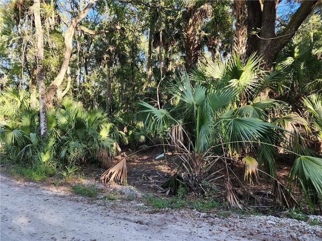 Land at 13334 E Shawnee TRL, INVERNESS FL 34450, photo 4 of 16