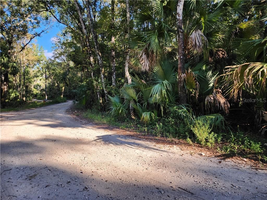 Property continues around the bend - 13334 E Shawnee TRL, INVERNESS FL 34450