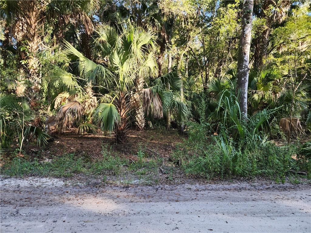 Land at 13334 E Shawnee TRL, INVERNESS FL 34450, photo 7 of 16