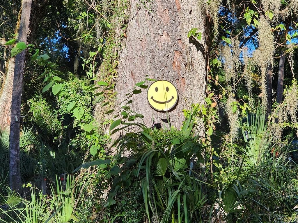 When you see the Oak tree with the smiley face to you almost to property - 13334 E Shawnee TRL, INVERNESS FL 34450