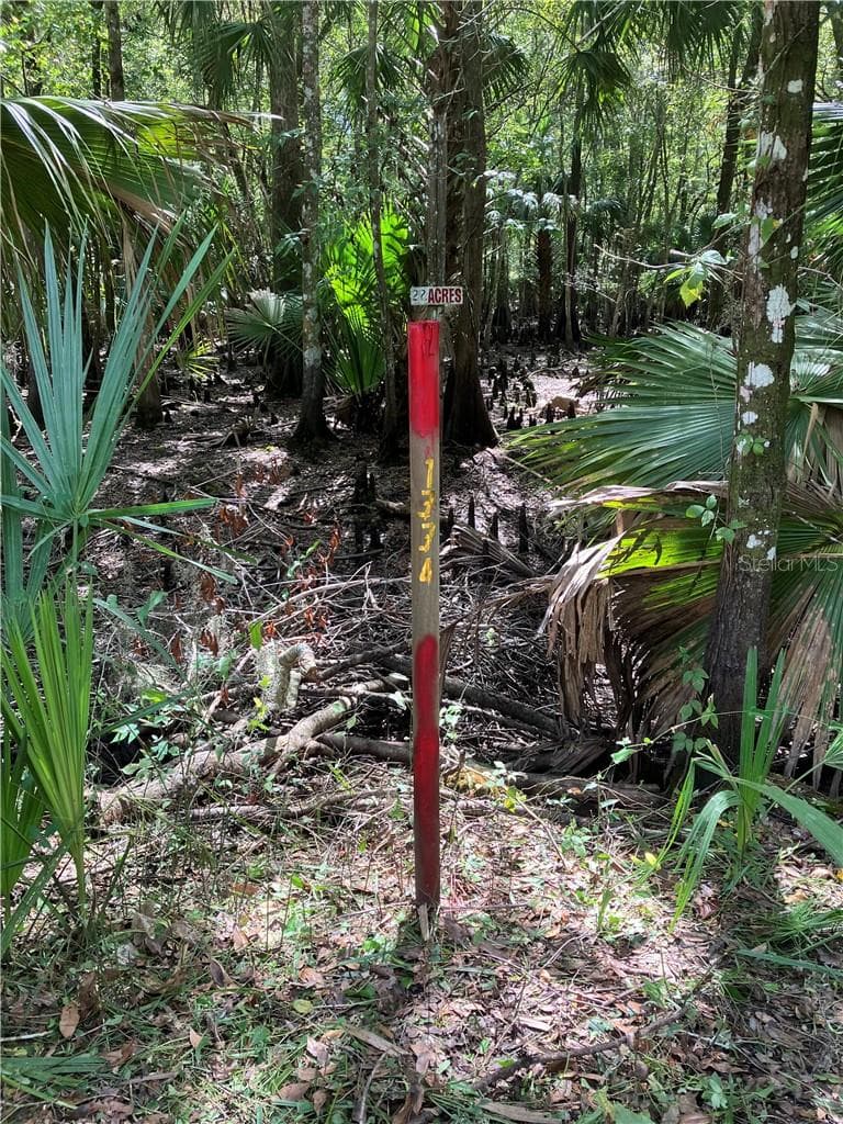 Land at 13334 E Shawnee TRL, INVERNESS FL 34450, photo 12 of 16