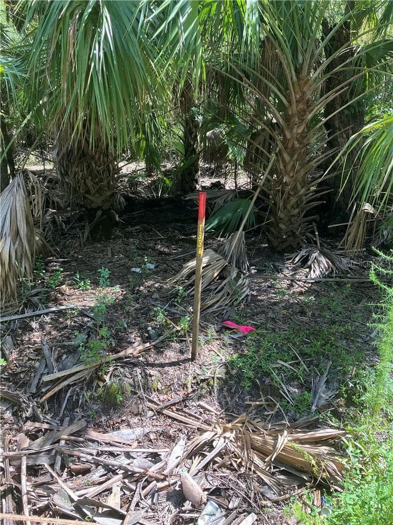 Land at 13334 E Shawnee TRL, INVERNESS FL 34450, photo 15 of 16