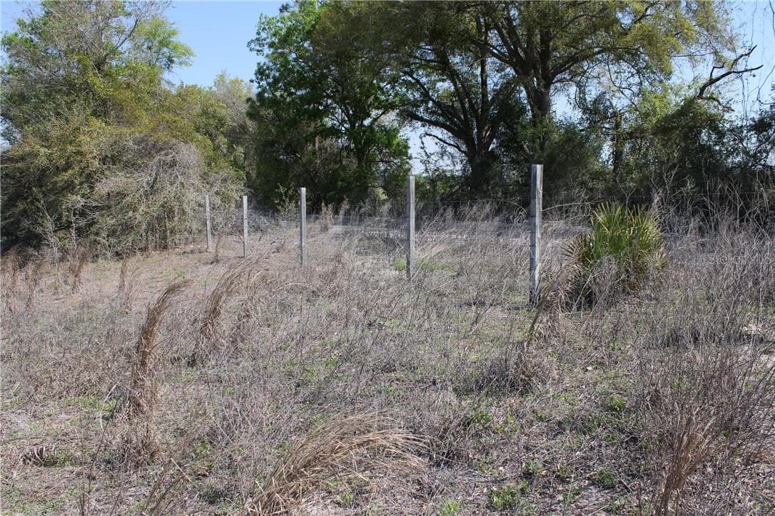 Land at TBD NW 50 ST, BELL FL 32619, Bell, photo 23 of 40