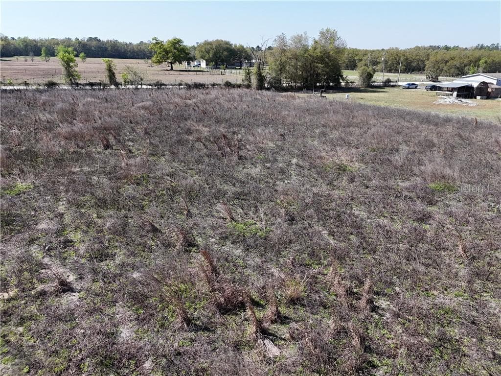 Land at TBD NW 50 ST, BELL FL 32619, Bell, photo 28 of 40